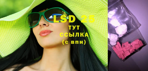 винт Богданович