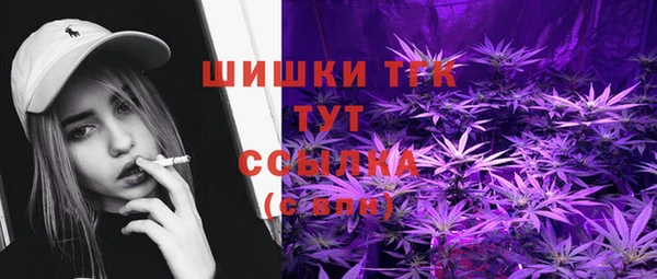 винт Богданович